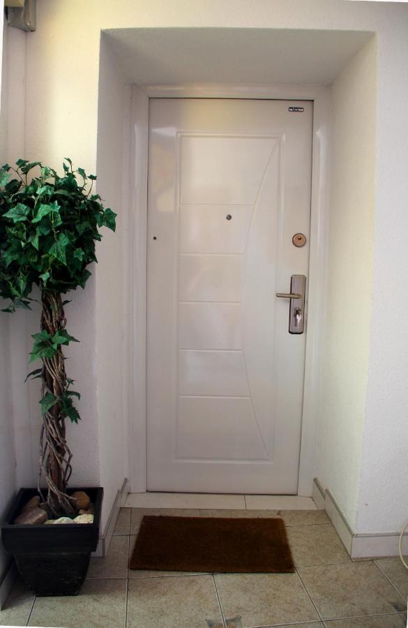 Downtown Green Oasis Apartments SJJ Extérieur photo