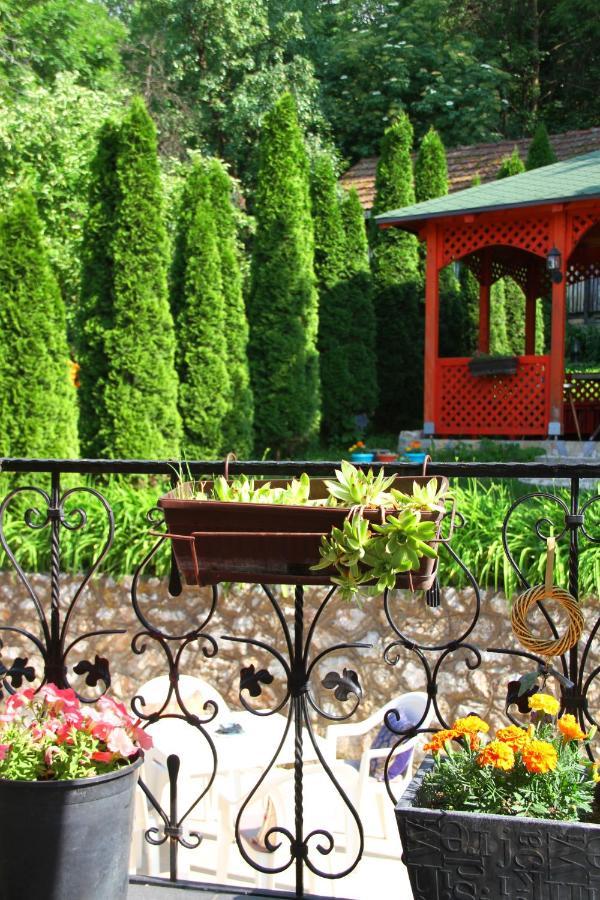 Downtown Green Oasis Apartments SJJ Extérieur photo